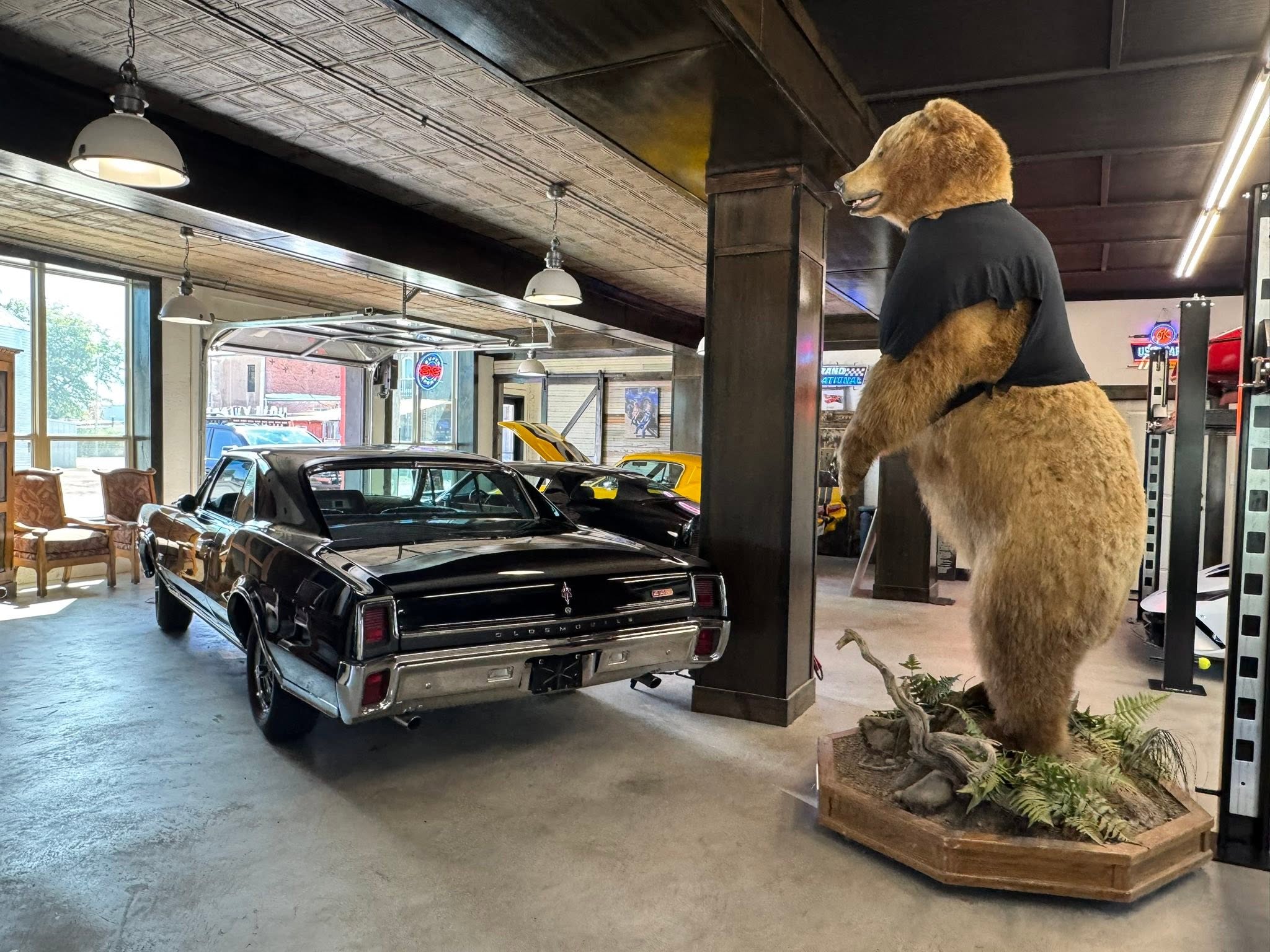 Black classic car and towering bear display inside GMTV Garage